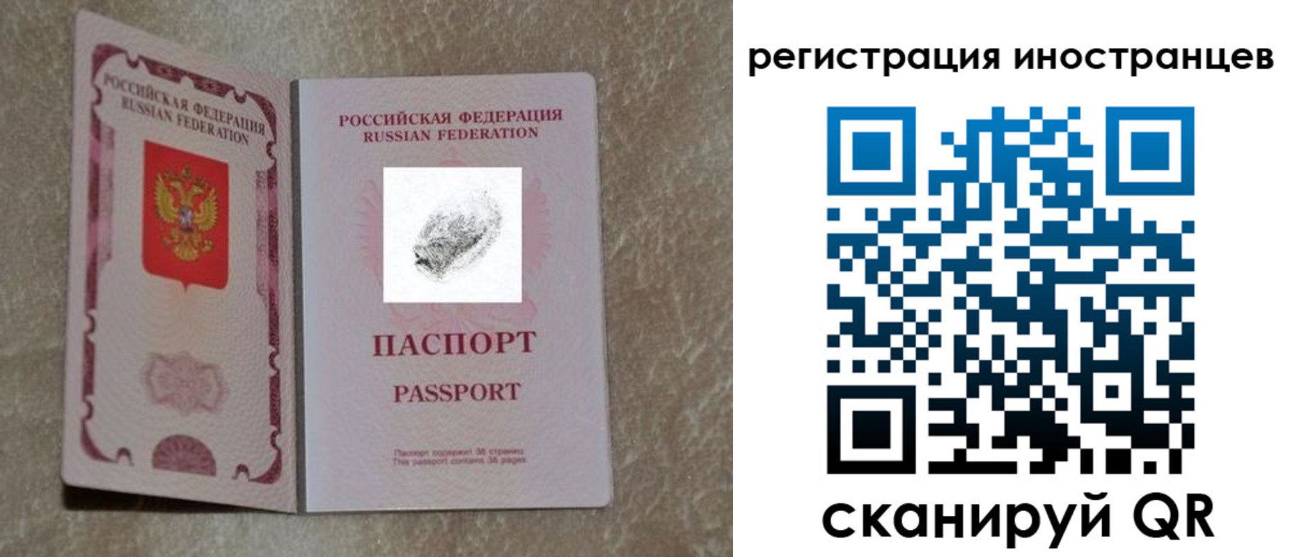 прописка законно в Зверево